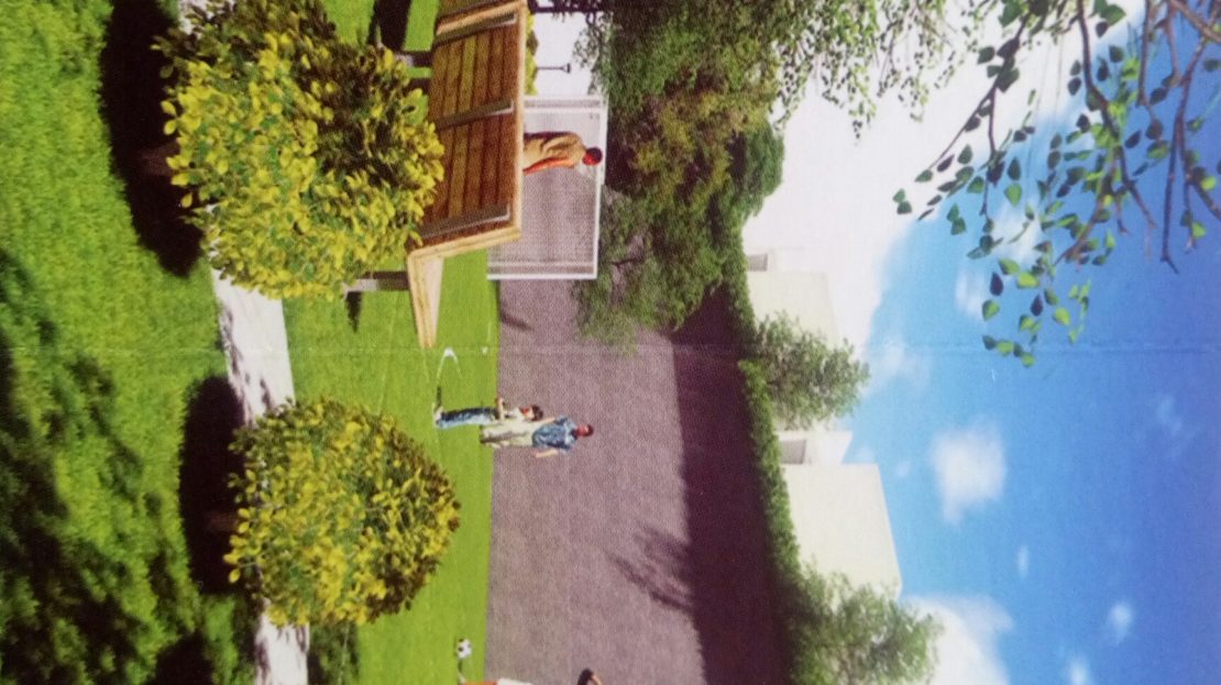 video image