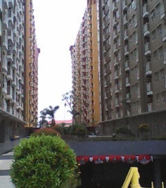 video image