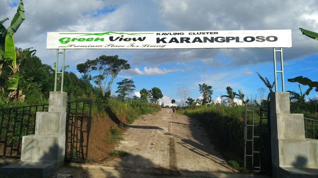 video image